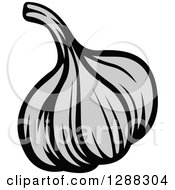 Clipart Of A Grayscale Garlic Bulb Royalty Free Vector Illustration