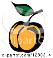 Poster, Art Print Of Peach Or Apricot