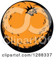 Clipart Of A Navel Orange Royalty Free Vector Illustration