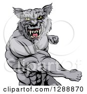 Poster, Art Print Of Tough Vicious Muscular Wolf Man Punching 2
