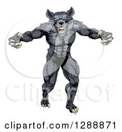 Poster, Art Print Of Muscular Aggressive Black Wolf Man Attacking