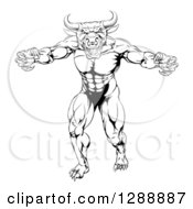 Clipart Of A Black And White Snarling Bull Man Minotaur Monster Mascot Attacking Royalty Free Vector Illustration