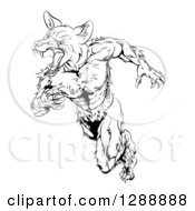 Clipart Of A Black And White Muscular Fox Man Sprinting Royalty Free Vector Illustration