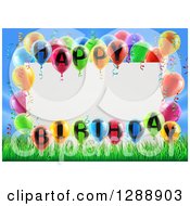 Blank White Sign Framed In Colorful 3d Happy Birthday Balloons Over Grass And Blue Sky