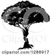 Clipart Of A Black And White Silhoeutted Mature Tree Royalty Free Vector Illustration