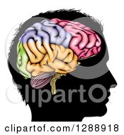 Poster, Art Print Of Black Silhouetted Mans Head In Profile With A Visual Brain Showing Different Colored Sections