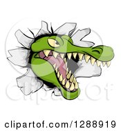 Clipart Of A Snapping Alligator Or Crocodile Head Breaking Through A Wall Royalty Free Vector Illustration by AtStockIllustration