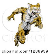 Poster, Art Print Of Aggressive Muscular Wildcat Man Sprinting