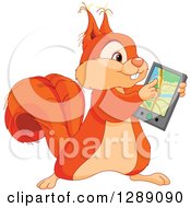Poster, Art Print Of Cute Squirrel Using A Gps Navigator Gadget