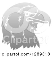 Poster, Art Print Of Gradient Gray Eagle Or Falcon Head In Profile