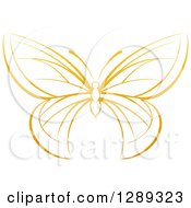 Poster, Art Print Of Gradient Dark Yellow Butterfly