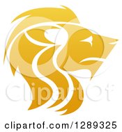 Poster, Art Print Of Gradient Golden Male Lion Head In Profile