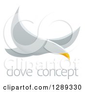 Poster, Art Print Of Flying White Dove Over Sample Text