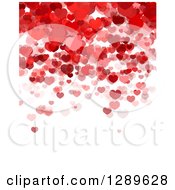 Poster, Art Print Of Background Of Red And Pink Valentine Hearts Over White Text Space
