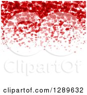 Poster, Art Print Of Background Of Red And Pink Valentine Hearts Over White Text Space 2