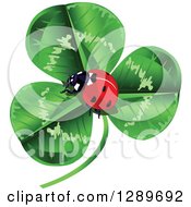 Poster, Art Print Of Lady Bug Nestled In The Center Of A Green Shamrock Clover
