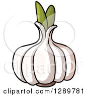 Clipart Of A White Garlic Bulb Royalty Free Vector Illustration