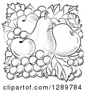 Clipart Of A Black And White Design Of A Pear Apricots Apple And Grapes Royalty Free Vector Illustration
