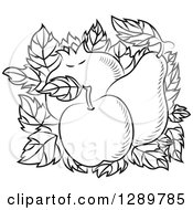 Black And White Design Of An Apple Pear And Pomegranate
