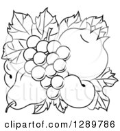 Poster, Art Print Of Black And White Design Of A Pear Apricots Pomegranate And Grapes On Leaves