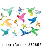Poster, Art Print Of Colorful Gradient And Sketched Hummingbirds