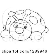 Poster, Art Print Of Black And White Cute Ladybug Toy