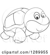 Poster, Art Print Of Black And White Cute Turtle Toy
