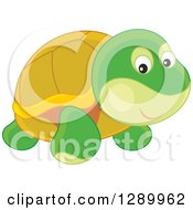 Poster, Art Print Of Cute Tortoise Toy