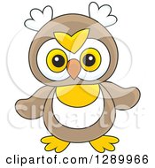 Poster, Art Print Of Cute Owl Toy