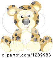 Poster, Art Print Of Cute Sitting Leopard Stuffed Animal Toy
