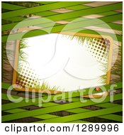 Poster, Art Print Of St Patricks Day Or Spring Background With A Ladybug Halftone And Grass Sign And Green Lattice Over Wood