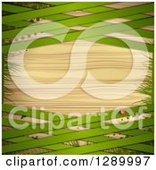 Poster, Art Print Of St Patricks Day Or Spring Background With A Ladybug Halftone Gass And Green Lattice Over Wood