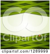 Poster, Art Print Of St Patricks Day Or Spring Background With A Ladybug And Green Lattice