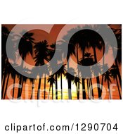 3d Silhouetted Tropical Palm Trees Against An Orange Ocean Sunset