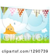 Poster, Art Print Of Yellow Chick In An Egg Shell With 3d Eggs In Grass Birds Clouds And Bunting Flags