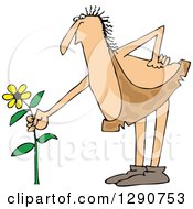 Clipart Of A Chubby Male Caveman Picking A Yellow Daisy Flower Royalty Free Vector Illustration