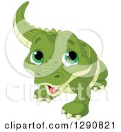 Cute Green Eyed Baby Alligator