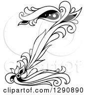 Poster, Art Print Of Black And White Vintage Floral Capital Letter Z