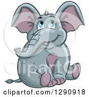 Poster, Art Print Of Cute Blue Eyed Elephant Sitting And Looking Up