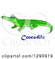 Clipart Of A Happy Bright Green Crocodile With Blue Eyes Over Text Royalty Free Vector Illustration