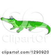 Poster, Art Print Of Happy Bright Green Crocodile With Blue Eyes