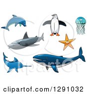 Poster, Art Print Of Dolphin Penguin Jellyfish Starfish Shark Marlin And Whale