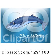 Poster, Art Print Of Cartoon Swimming Blue Whale Over Text