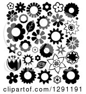 Poster, Art Print Of Black And White Flowers And Leaves