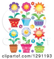 Poster, Art Print Of Potted Flower Plants