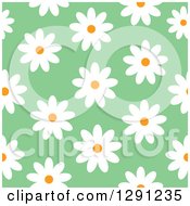 Poster, Art Print Of Seamless Background Pattern Of White Daisy Flowers On Green