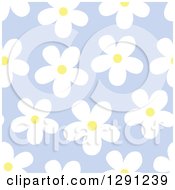 Poster, Art Print Of Seamless Background Pattern Of White And Yellow Daisy Flowers On Purple