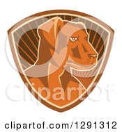 Clipart Of A Retro Aggressive Farm Dog In A Brown And Sunshine Shield Royalty Free Vector Illustration