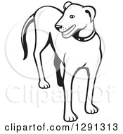 Clipart Of A Grayscale Cartoon Dog Standing And Looking To The Side Royalty Free Vector Illustration