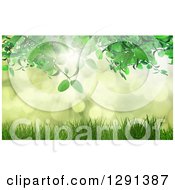 Poster, Art Print Of 3d Green Vine Over Grass And Bokeh Flares With Sunshine